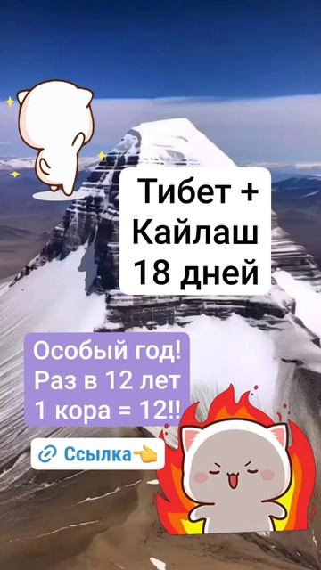 Отправь Кайлаш