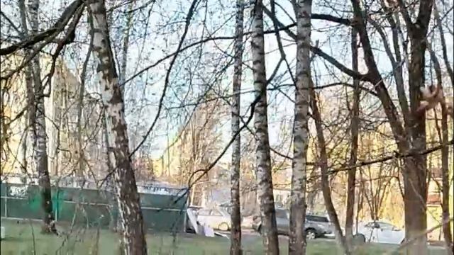 Вопрос к зрителям а как вы думаете как делать правильно