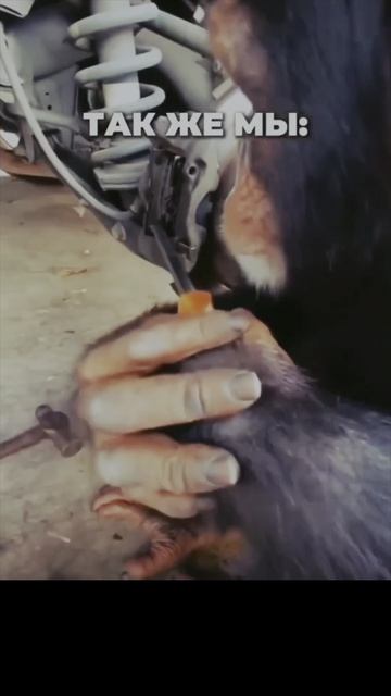 Отмечай своего друга