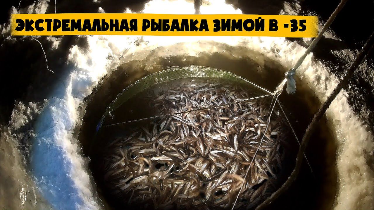 Лучшая Зимняя Рыбалка на Амуре 2026. Ловим на Паук. Лучшие Моменты. Тонна Рыбы Смотреть Онлайн 2026