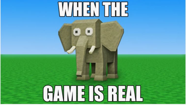 When The Game Is Real