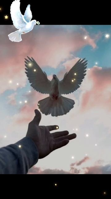 Великий Вторник. Благове́щение Пресвято́й Богоро́дицы🕊