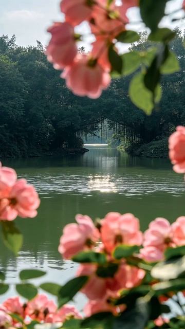 ОТПУСКАЯ КОНТРОЛЬ, МЫ ОТКРЫВАЕМ МЕСТО ДЛЯ РОСТА, ИСЦЕЛЕНИЯ И РАДОСТИ.