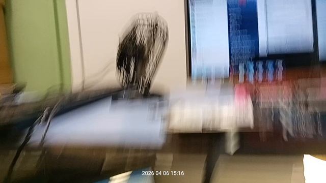 Матплата Asus X53U PBL60 заказ 0113601717-0891-1 - контрольный запуск.