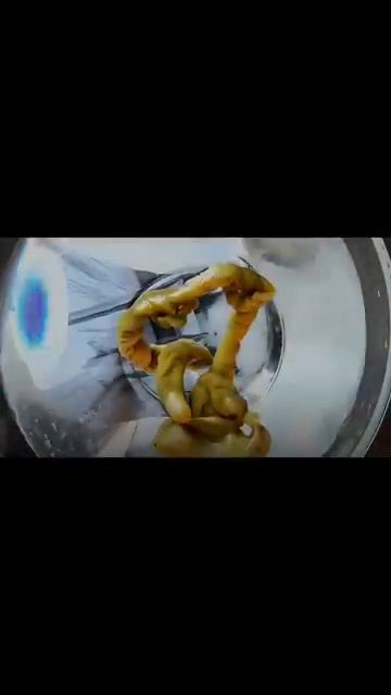 КАК узнать признаки внешнего НЕГАТИВА отливкавоском обучениеотливкевоском [get.gt]