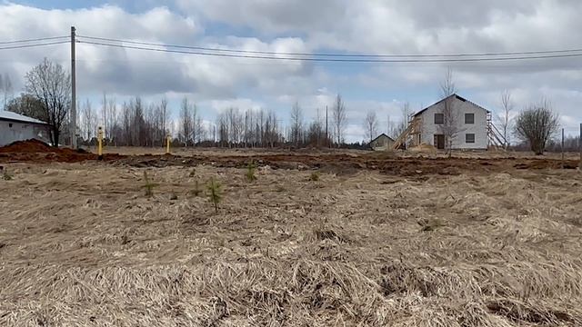 Copy_F526EA1F-06AE-4018-A8E5-098E82CF2BFD