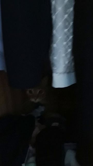 тот самый ты утром 🥱