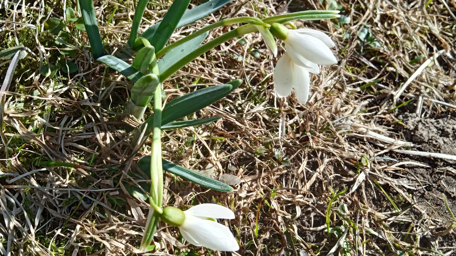 Видео привет с Апрельской дачи