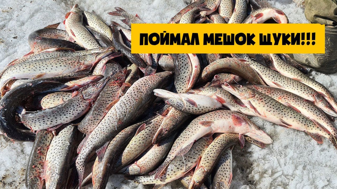 НЕРЕАЛЬНО ЛЮТАЯ РЫБАЛКА НА ЩУКУ ЛОВЛЮ ГОРУ РЫБЫ ЛУЧШАЯ ЗИМНЯЯ РЫБАЛКА РУССКАЯ РЫБАЛКА 2026 НА RUTUBE