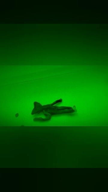 PipiKlaem  раньше 👇👇👇