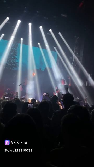 группа дабро