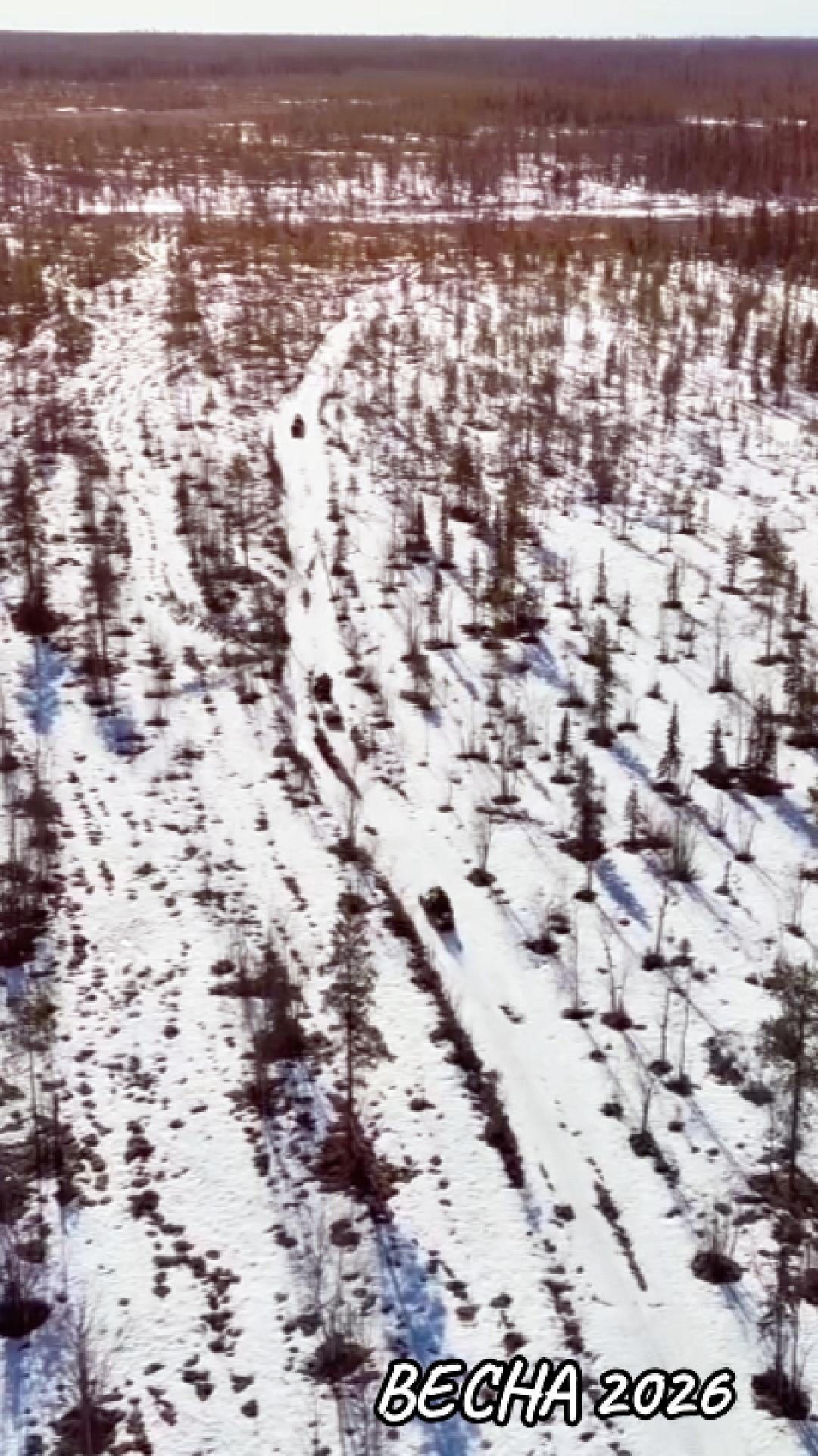 ВЕСНА2026 (часть 4) #путешествие #природа #весна2026