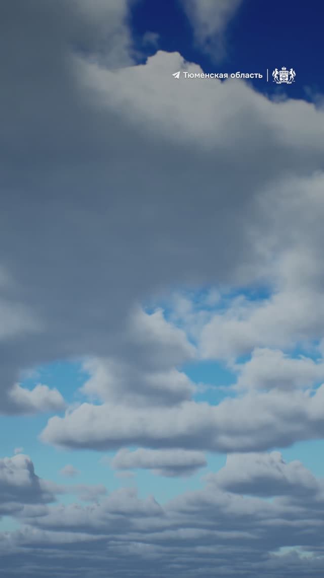 Почему День геолога — особенный праздник для Тюменской области?