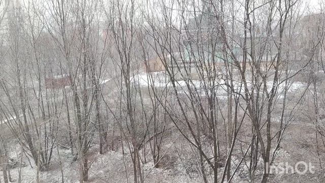 Шпаги скрестились!! 🤦