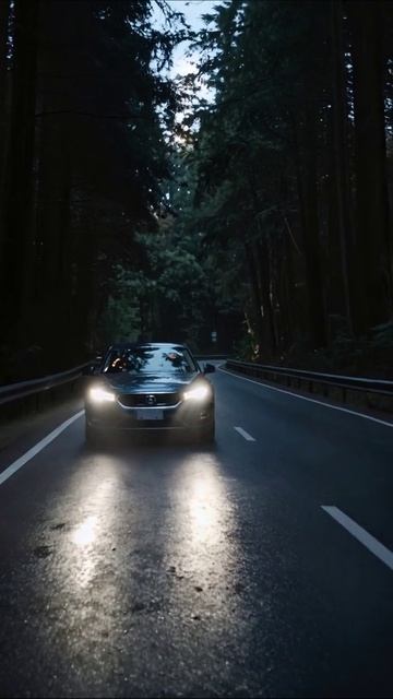 Ночной переезд: атмосфера уединённой дороги #ночь #авто #природа