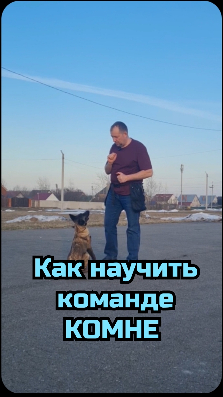 Как научить команде комне