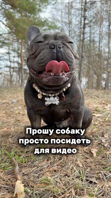 ни когда не было так по…