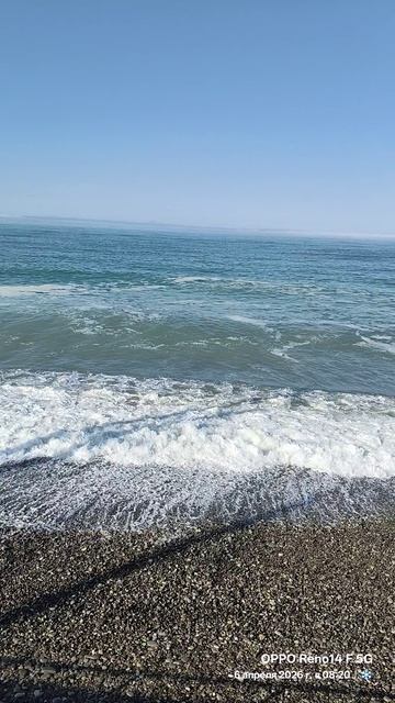 06.04.2026 Лазаревское