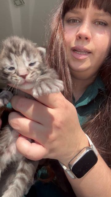 Помет П ❤️