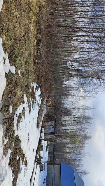 З/у с к.н. 50:28:0090101:711 расположенный по адресу: Московская область, г. Домодедово, д. Борисово