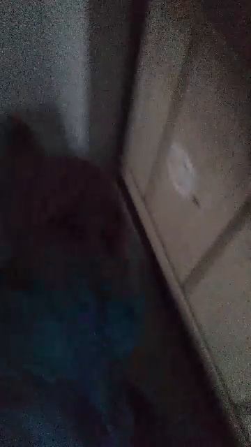 я иду в школу