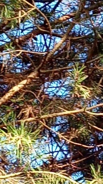 Немного потеплело ☀️