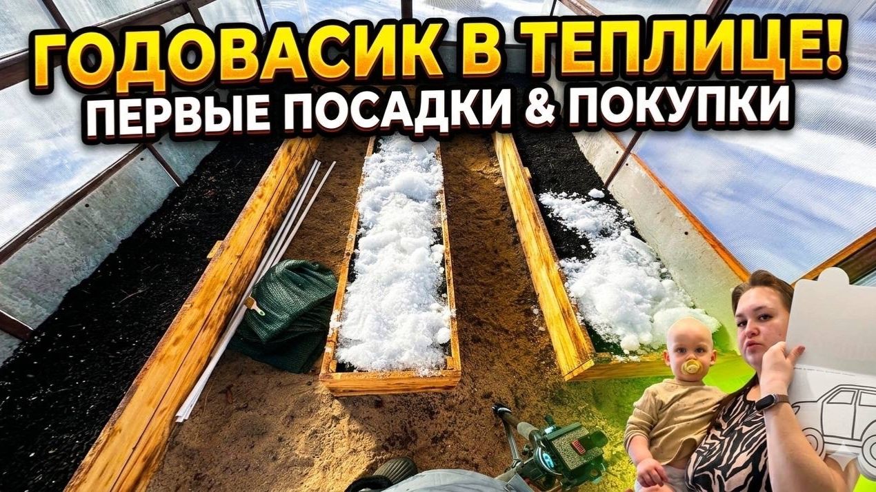 Первые посадки в теплицу/ покупки для годовасика