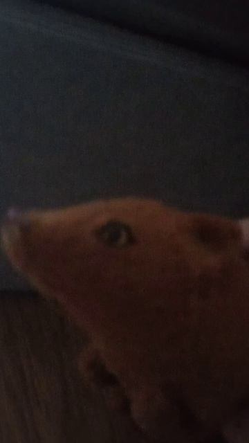 у меня появился второй канал!