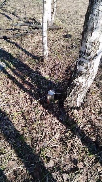 ✔Берёзовый💧 сок🍺 Часть 2✔