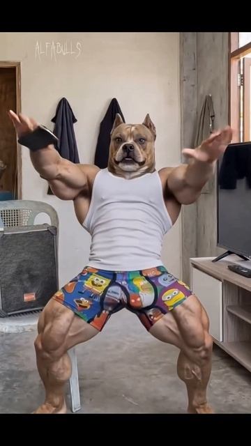 А вы или ваша собака сможете повторить?