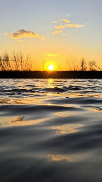 07436243934a7a9f112825932fc1963f