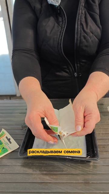 сею огурцы на рассаду.mp4