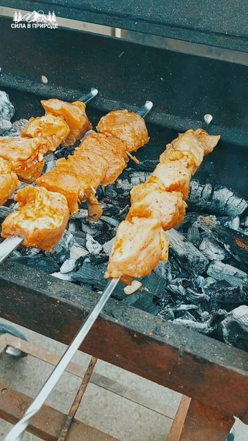 Шашлык ✅️