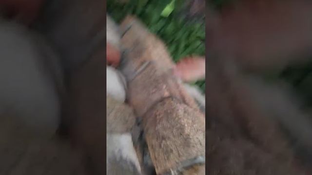 делаем ручей