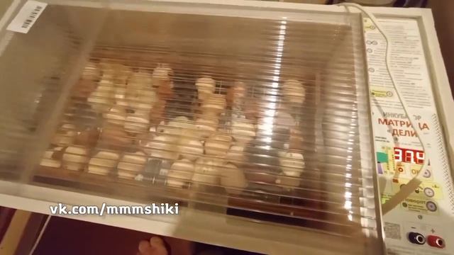 Алгоритм - 05.04.26