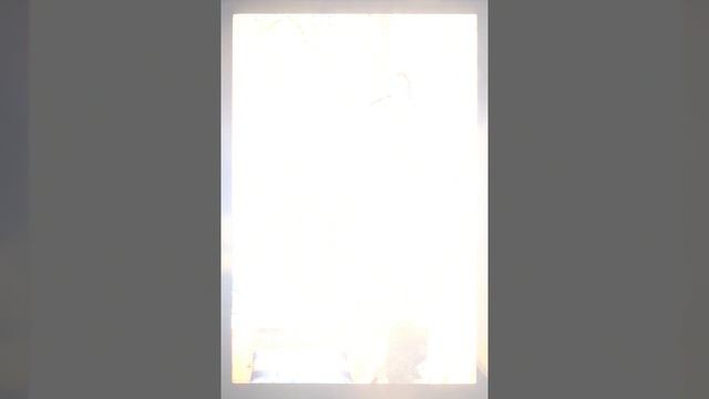 Беседа в чём слава Индии. Шрила Прабхупада 1975.04.19 Вриндаван