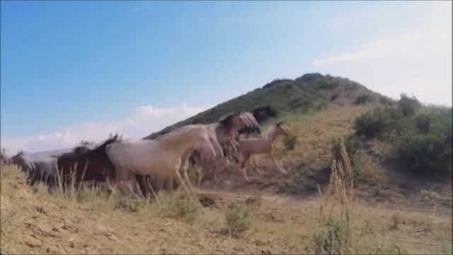 Глубокая разведка