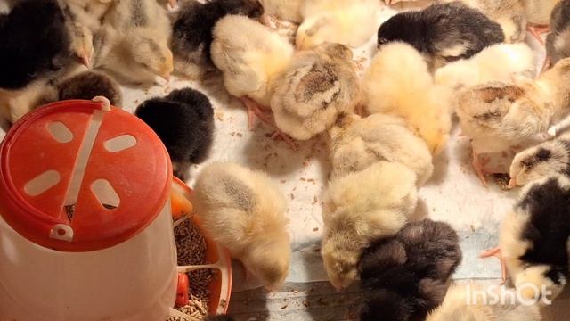 4c6ed9936d94b8076efcb60c6b361716