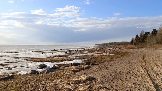 04-05.04.26. На даче. Электровелосипед. Квасом запаслись.