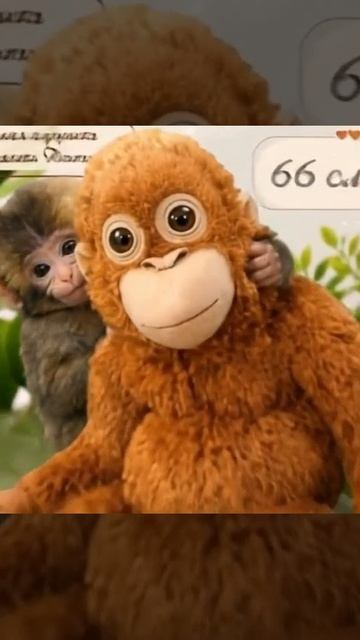 Мягкая игрушка Обезьянка ОРАНГУТАНГ оптом