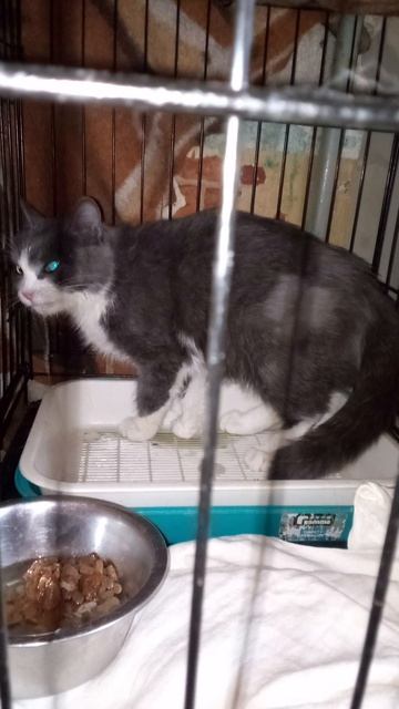 Маша после инфаркта .