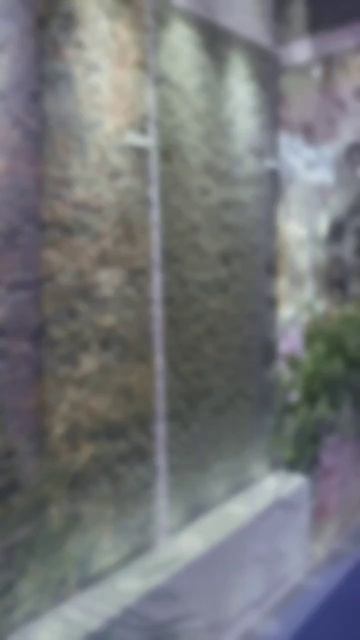 Чего ждать от выставки в 2027 году?