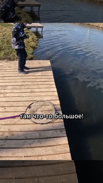 Первая поклевка сына на спиннинг #norstream  #рыбалка #fishing