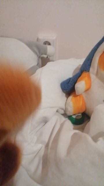 Птица когда не знает как кормить детей