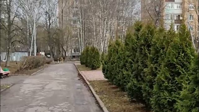 СТАРЫЙ ПОБИРУШКА ДЕНЕГ, НАКРУТКИ ПОДПИСЧИКОВ И ПРОСМОТРОВ