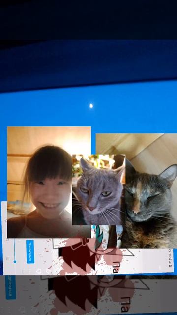 БОЛЬШЕ ХЕЙТА