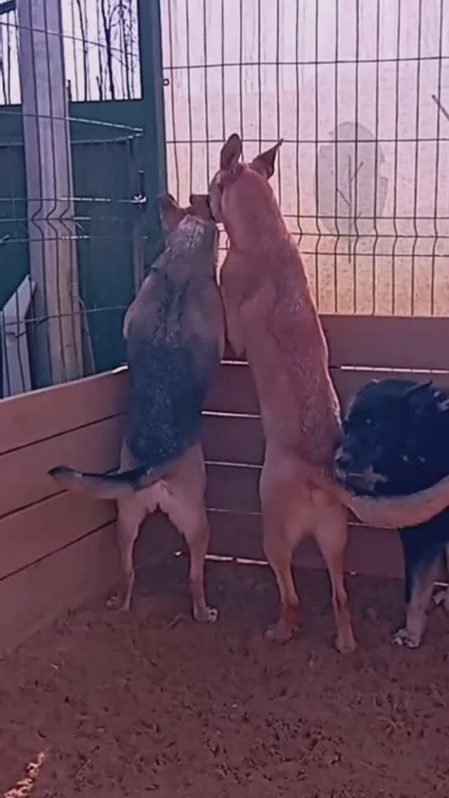 D5599f36a8fe15060b0fb099a555a6fc