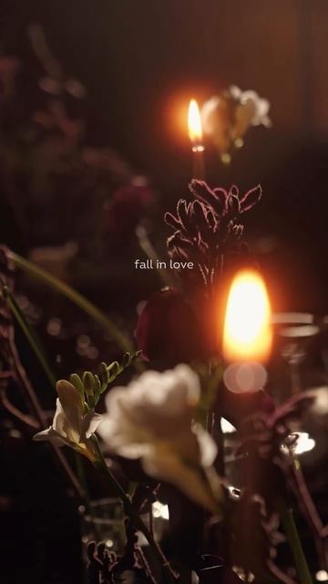 Ролик любви