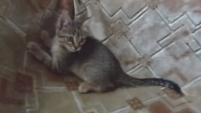 ЛЮБИМОЕ МЕСТО.Видео Татьяны Крестьянсковой