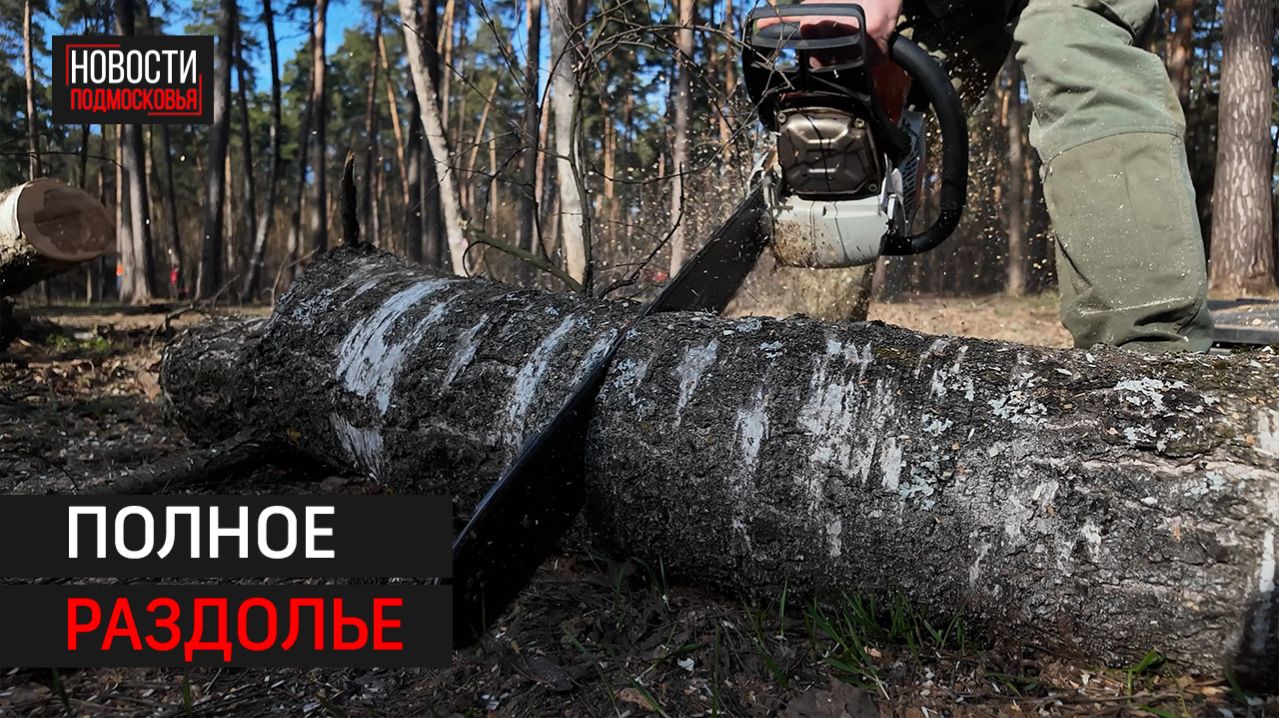 Первый субботник весеннего сезона прошёл в Одинцовском округе // 360 Одинцово